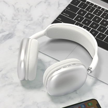 EchoPure Sound Cancelling Earphones